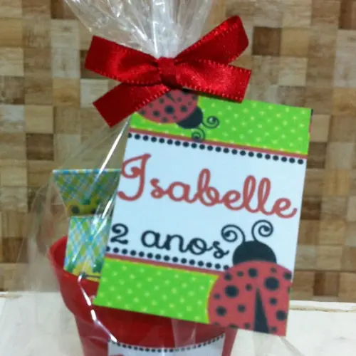 Mini Kit Tema Joaninha
