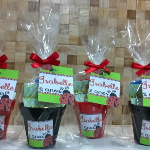 Mini Kit Tema Joaninha