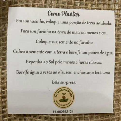 Semente Gravada com Cartão Personalizado