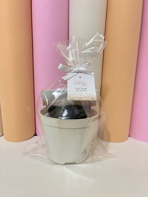 Lembrancinha Floral | kit plantio jardinagem | festa personalizad
