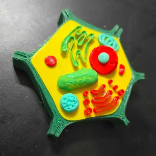 Célula Vegetal 3d Pedagógica Biologia - Maquete