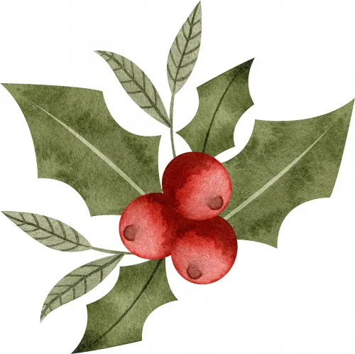 NATAL
