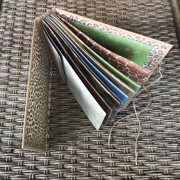 Album Scrapbook Safari
