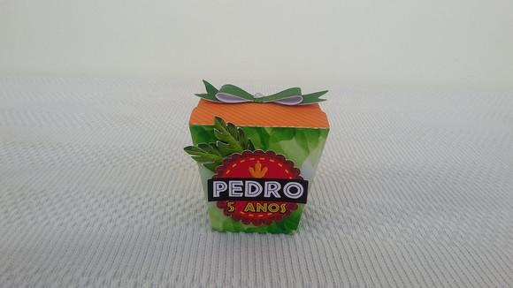 Kit Festa Personalizada Dinossauros-40 Peças