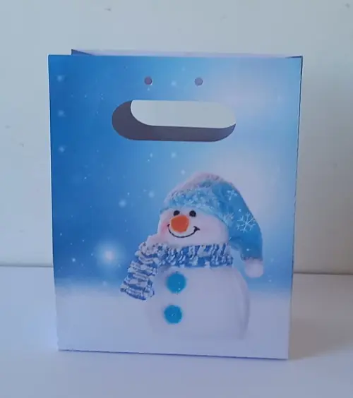 Sacolinha Personalizada Inverno Gelo Boneco de Neve