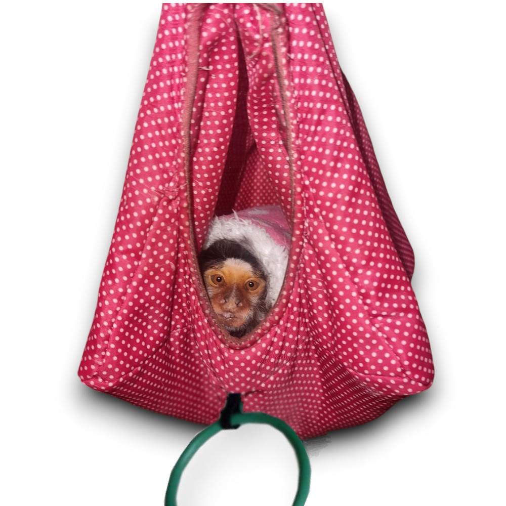 Cabanas para Pet Exótico: Fáceis de Limpar, Rápida Secagem e C