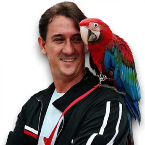 AVES