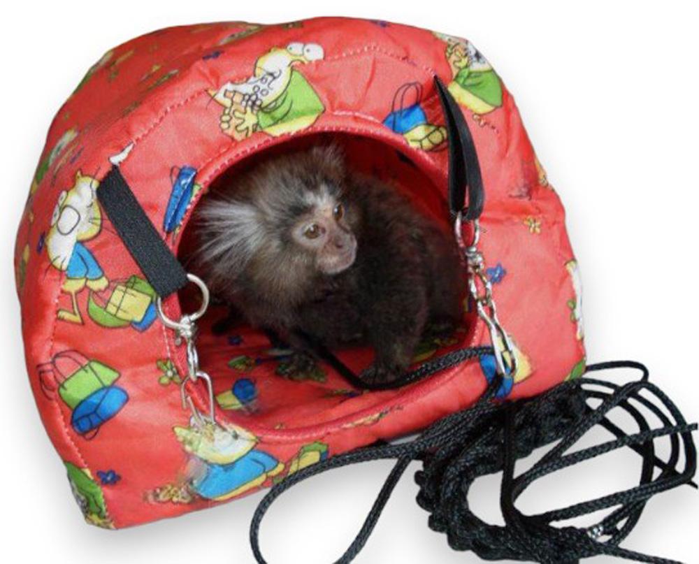 Cabanas para Pet Exótico: Fáceis de Limpar, Rápida Secagem e C