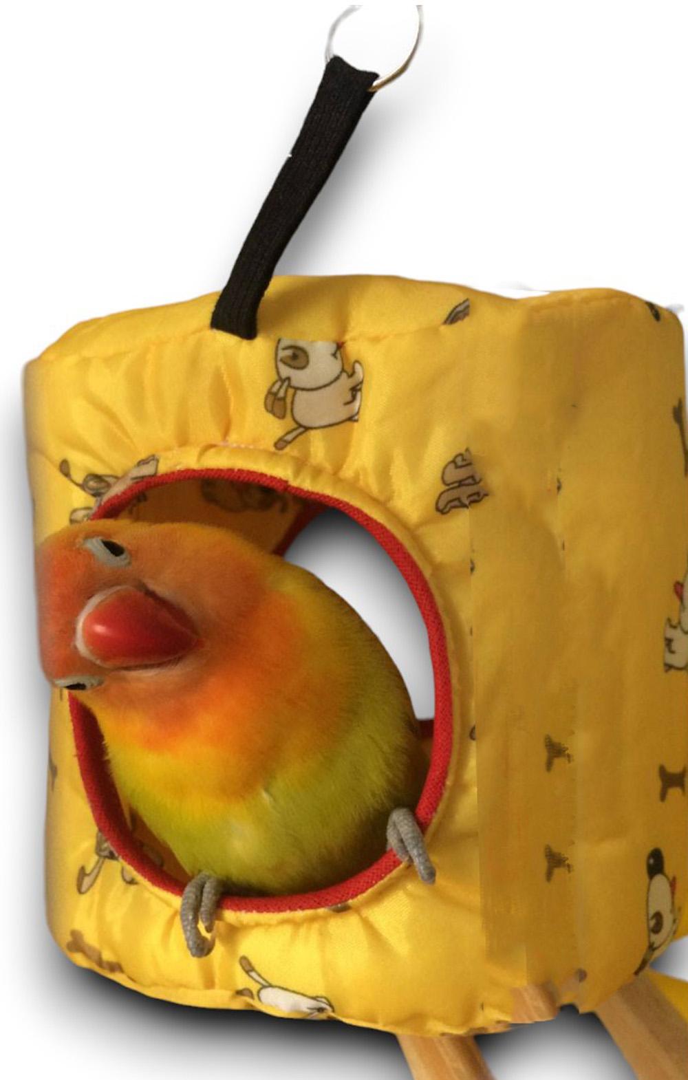 Cabanas para Pet Exótico: Fáceis de Limpar, Rápida Secagem e C