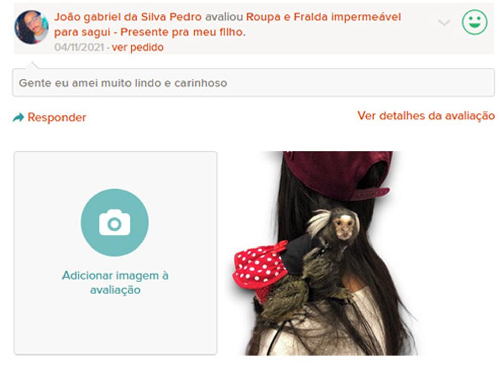 Roupa e Fralda para Sagui ( conjunto )