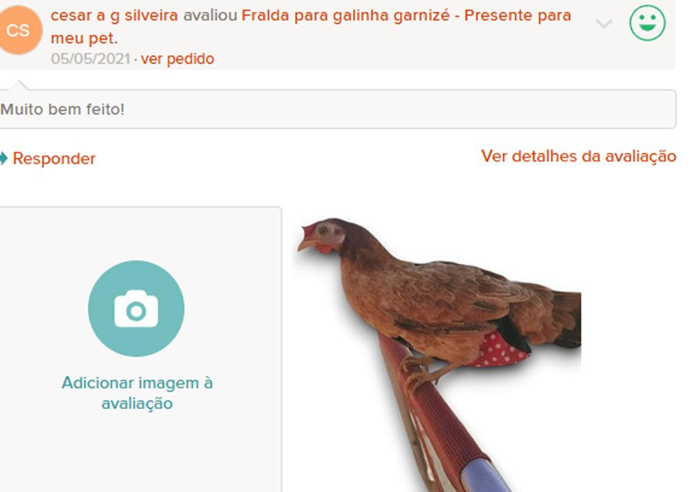 Fralda para Galinha e Garnisé