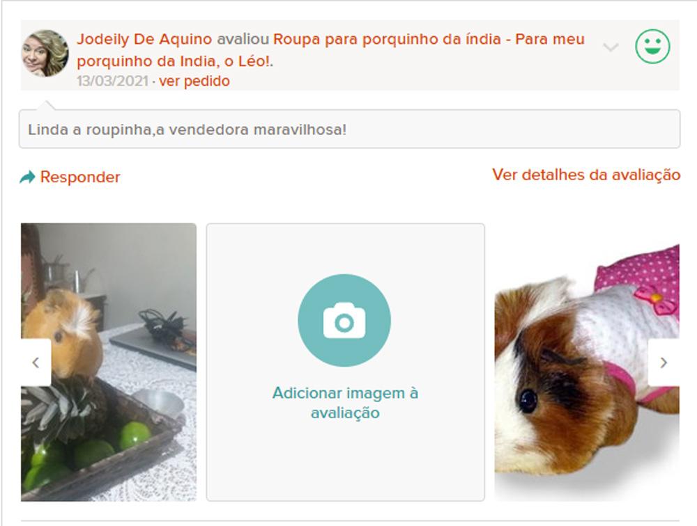 Roupa para porquinho da índia