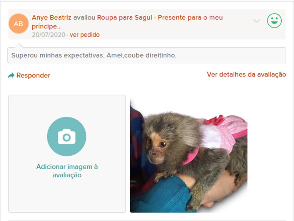 Roupa coleira para Sagui