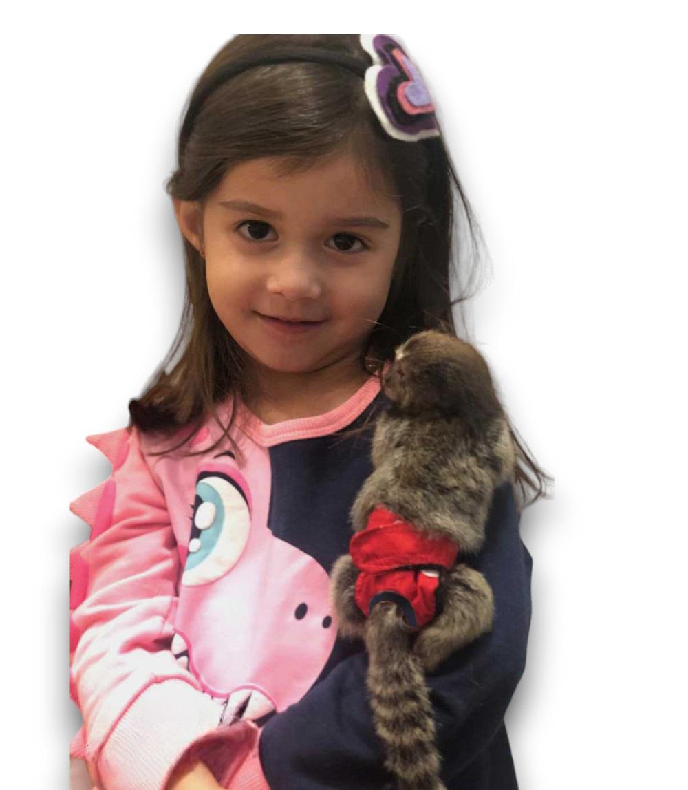 FRALDA PARA SAGUI BEBE (KIT 4 UNID ) PRONTA ENTREGA