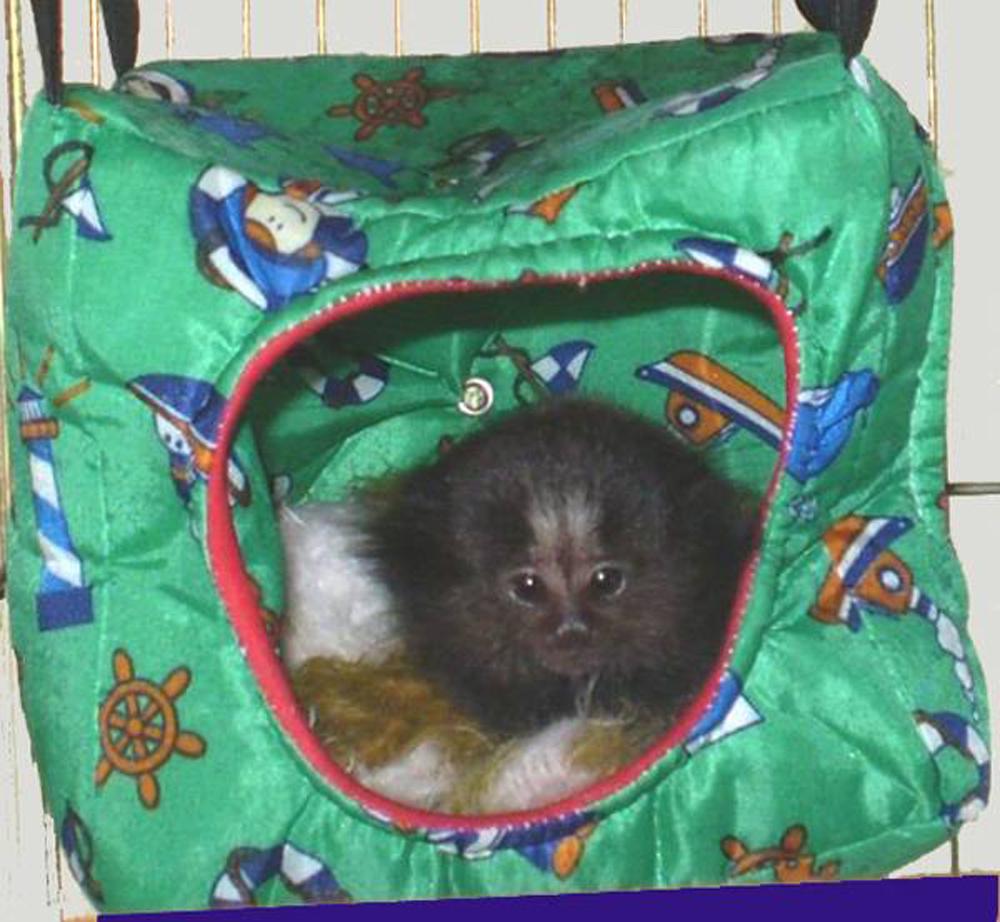 Cabana modelo Cubo - ( KIT 2 UNID )