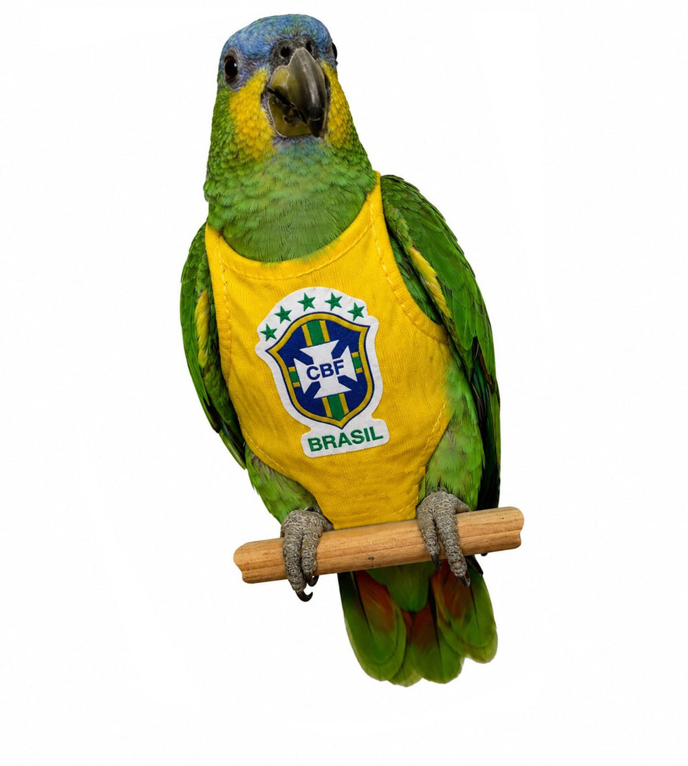 Fralda para Papagaio