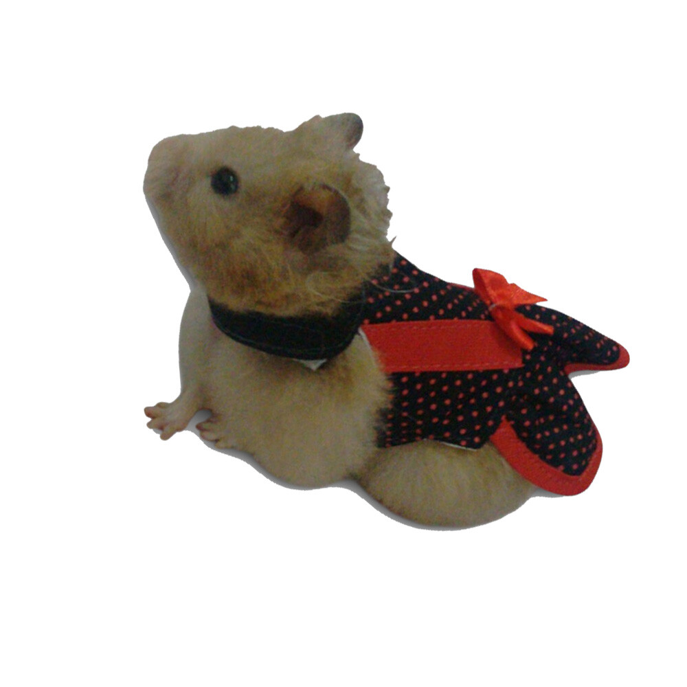 ROUPA COLEIRA HAMSTER