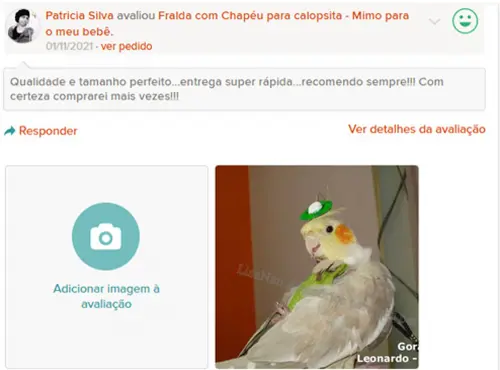 Fralda para Calopsita