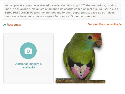 Fralda para Papagaio