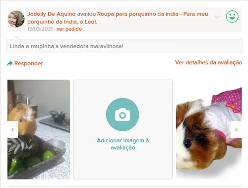 Roupa para porquinho da índia