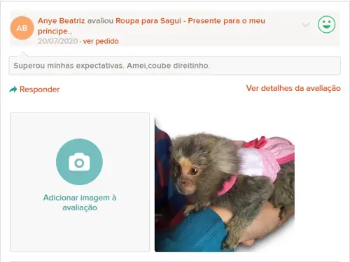 Roupa coleira para Sagui