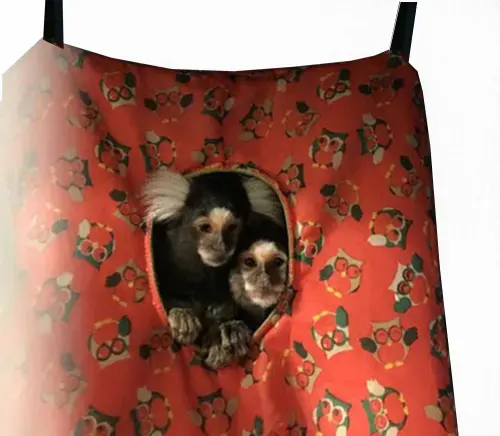Cabana modelo Mimo - ( kit 2 unid )