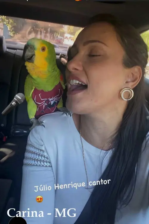 Fralda para Papagaio