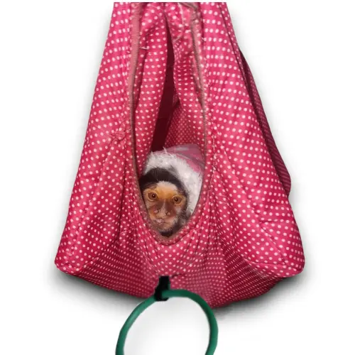 Cabana modelo Mimo
