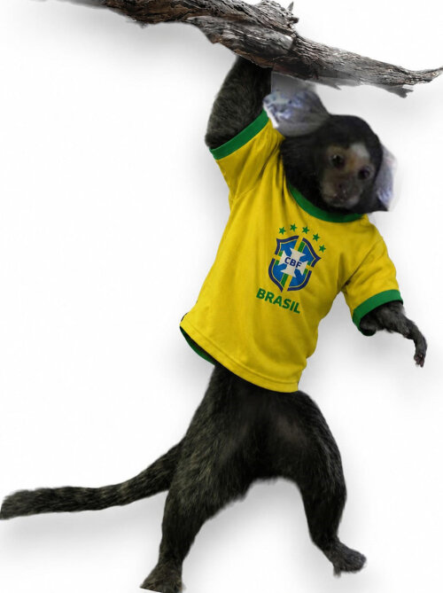 Camiseta time, temática e personalizado  e Fralda para Sagui ( c