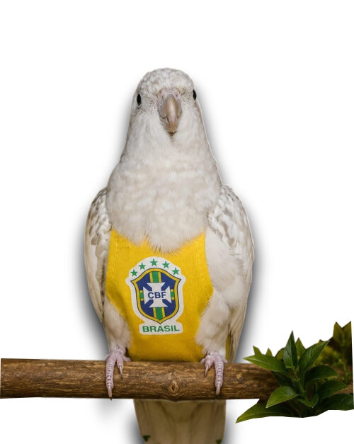Fralda temática Calopsita