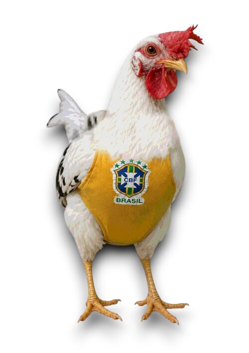 FRALDA PARA AVES