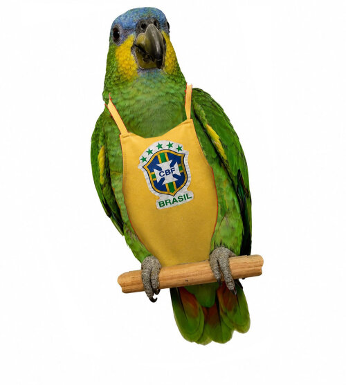 FRALDA PARA AVES