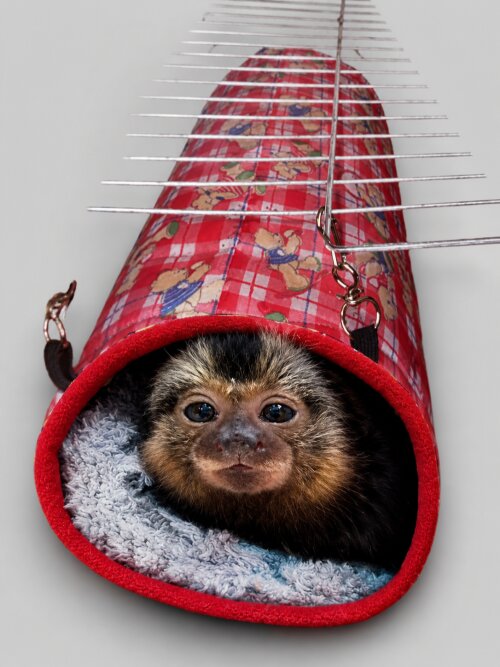 Túnel