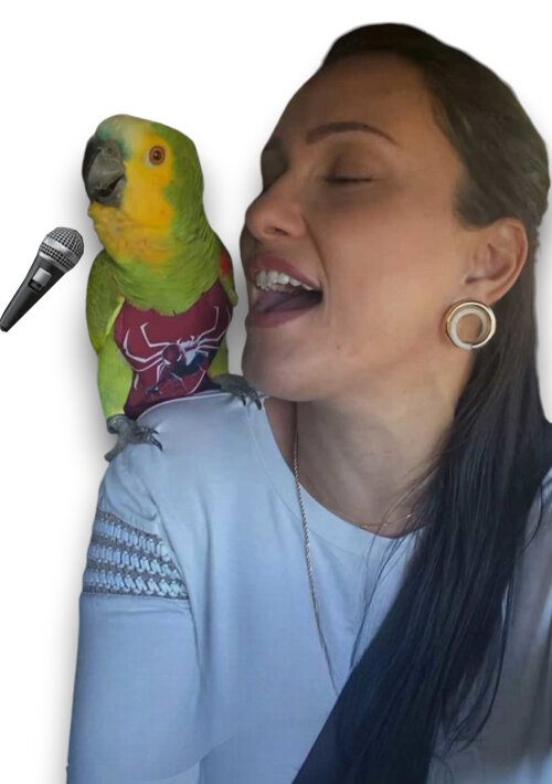 FRALDA PARA AVES