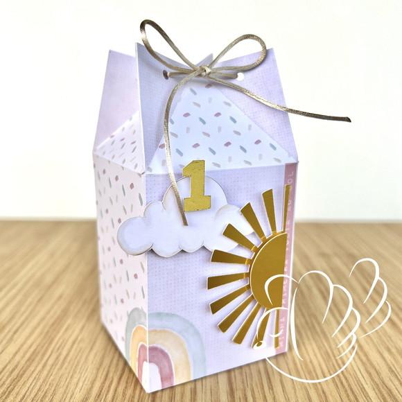 Personalizados - Caixinhas -primeira Volta ao Sol - 10 Itens