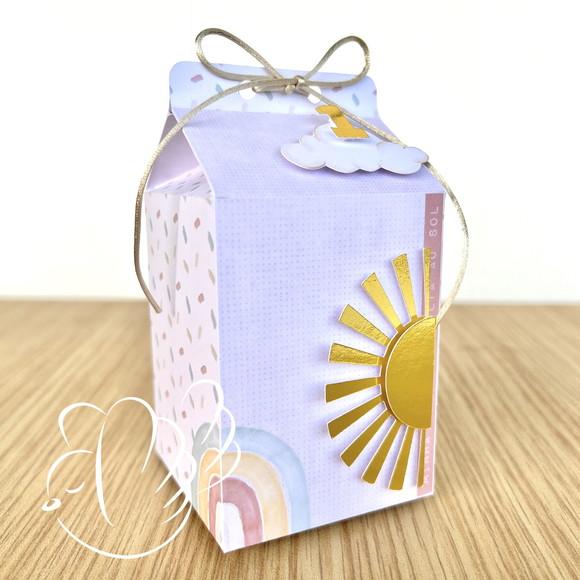 Personalizados - Caixinhas -primeira Volta ao Sol - 10 Itens