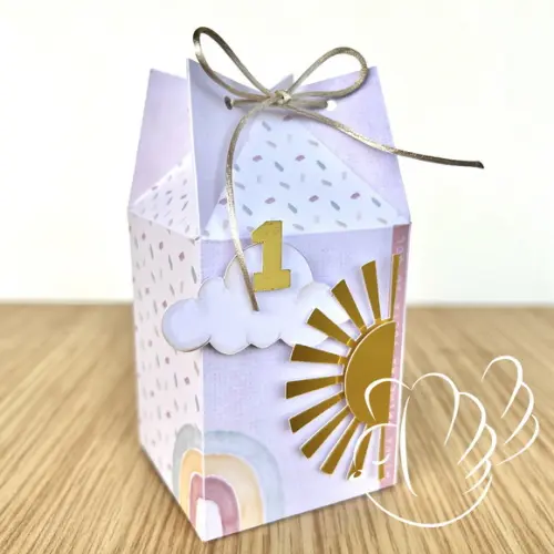 Personalizados - Caixinhas -primeira Volta ao Sol - 10 Itens