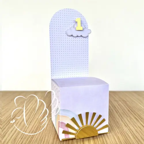 Personalizados - Caixinhas -primeira Volta ao Sol - 10 Itens