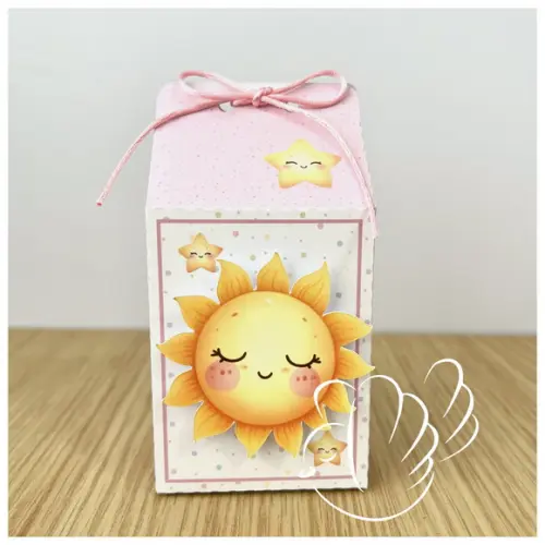 Personalizados-caixinhas - 365 Sorrisos Menina - 10 Itens