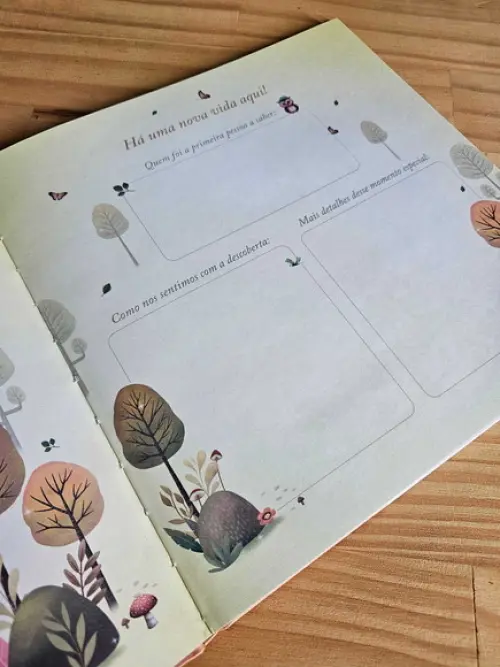 Livro do Bebê Passarinhos Feltro