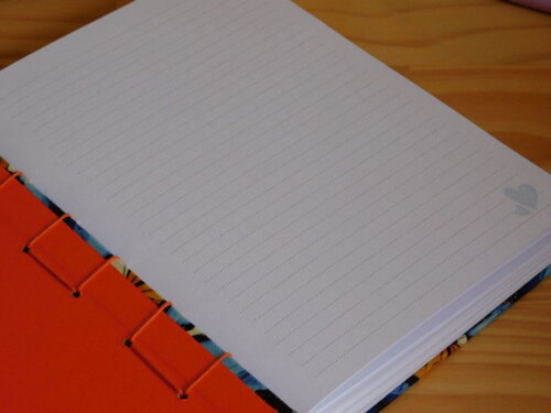 caderno borboletas