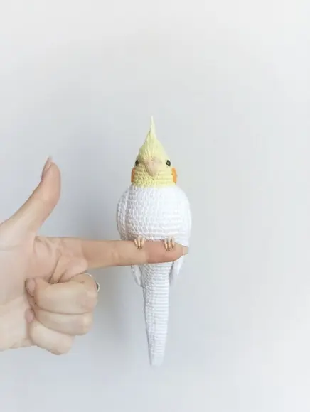 Calopsita Amigurumi Realista 28cm Personalizado (psitacídeo)