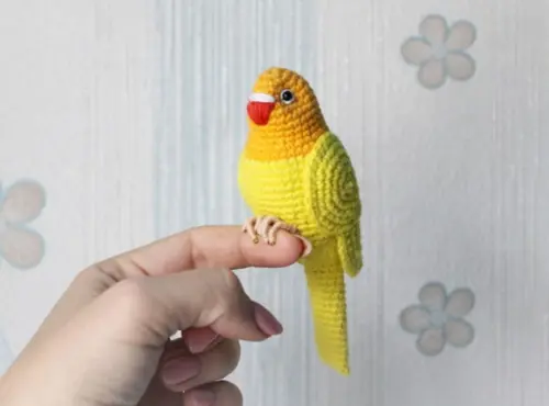Periquito Agapornis Amigurumi de Crochê