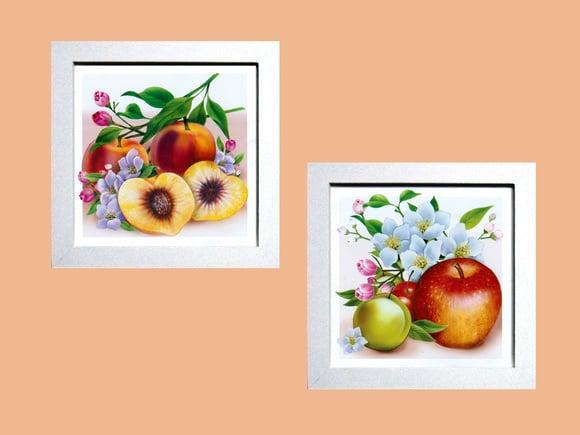 Dupla de Quadros Frutas Maçã e Pessego