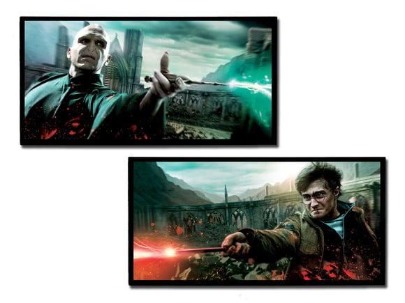 Dupla de quadros Harry Potter Duelo