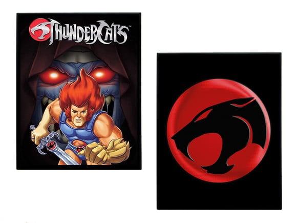 Dupla de Quadros Thundercats 02