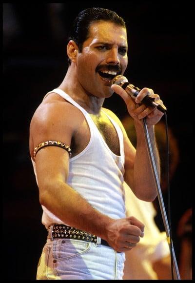 Placa Decorativa Freddie Mercury