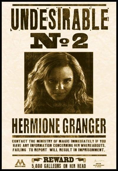 Placa Decorativa Harry Potter Hermione Procurado Nr 2