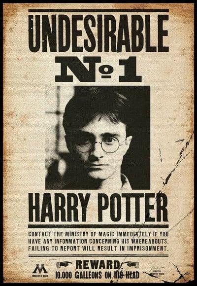 Placa Decorativa Harry Potter Procurado Nr 1