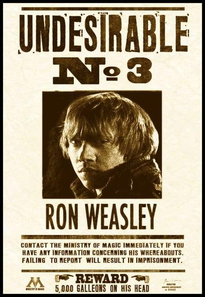 Placa Decorativa Harry Potter Rony Procurado Nr 3